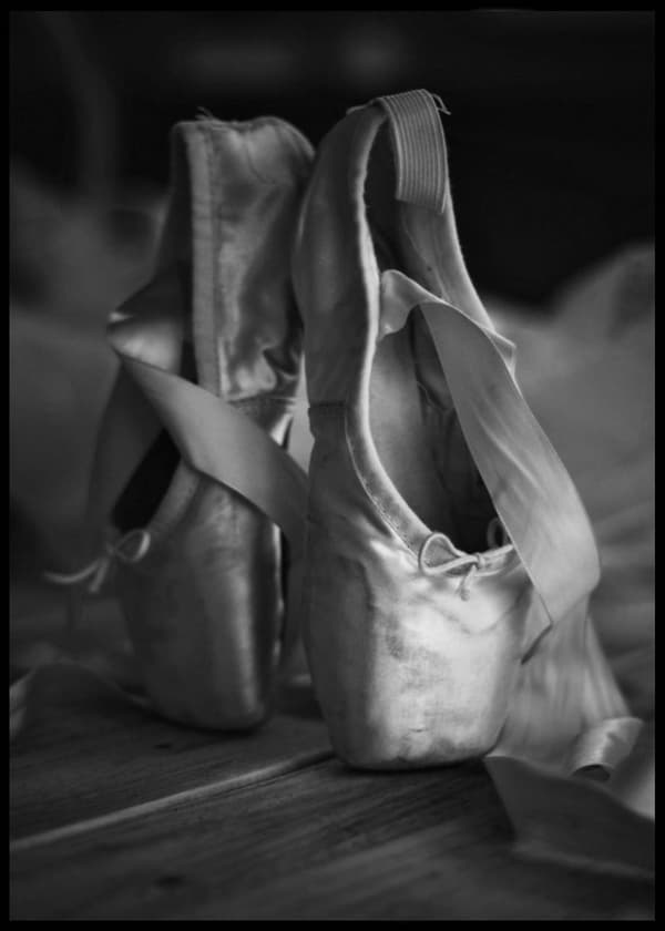 BALLET SHOES POSTER