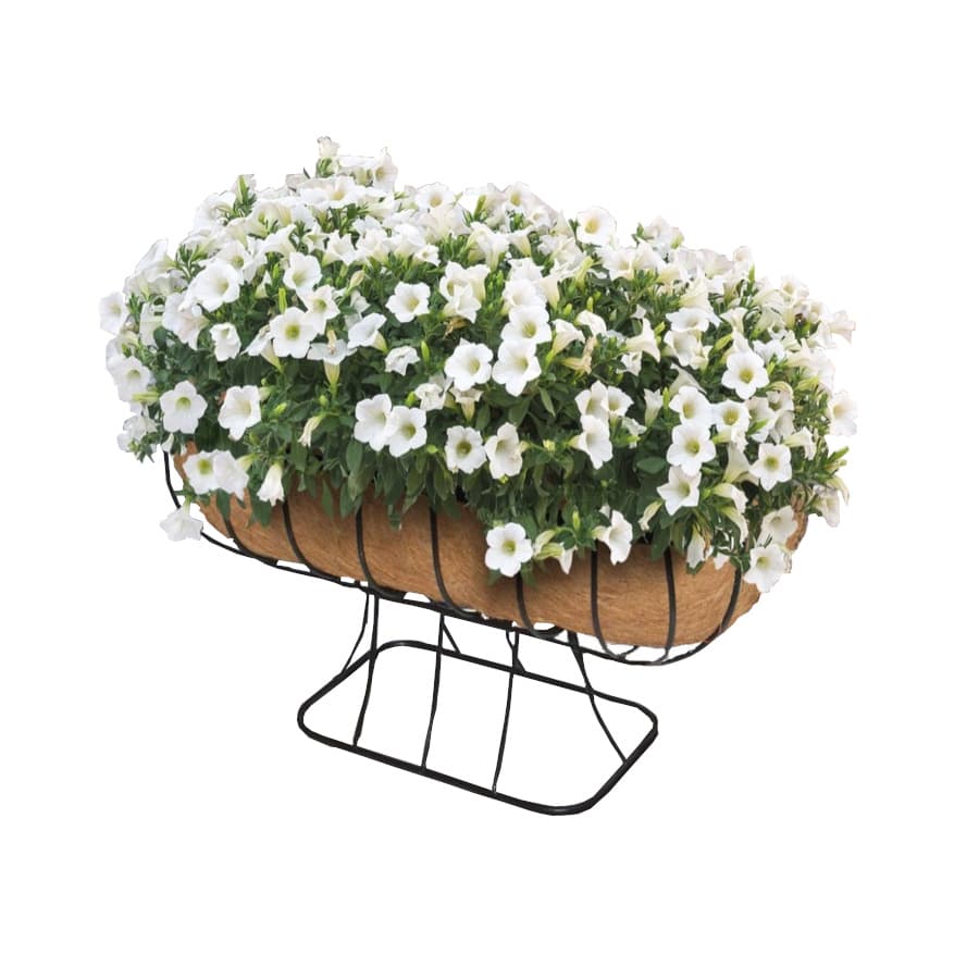 Ambassador Cradle Planter