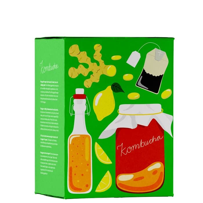 Ekologiskt Kombucha Kit