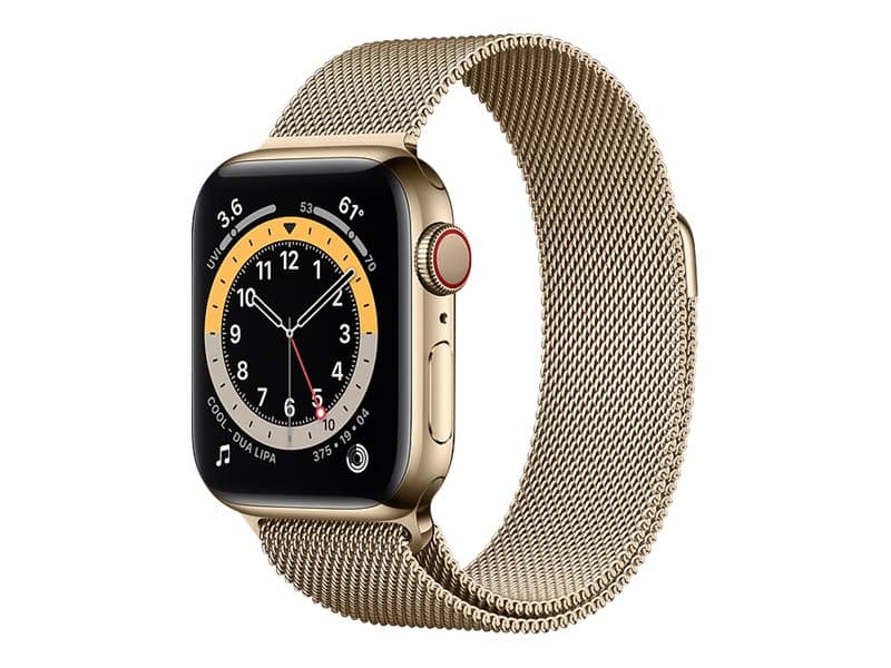 APPLE WATCH S6 GPS+CELL 40MM ACCS GOLD STSTEEL CASE W GOLD ML LOOP IN