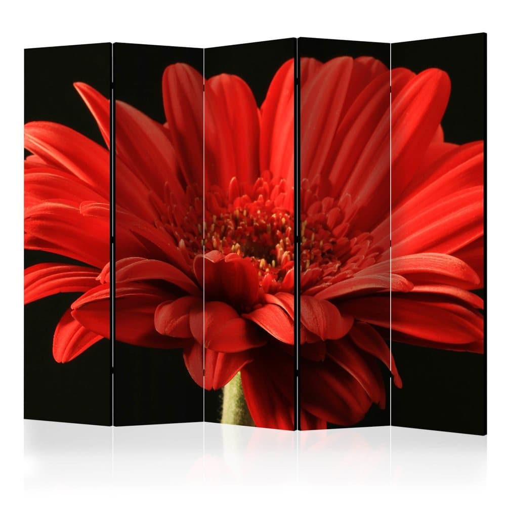 Rumsavdelare / Skärmvägg - Red gerbera flower II