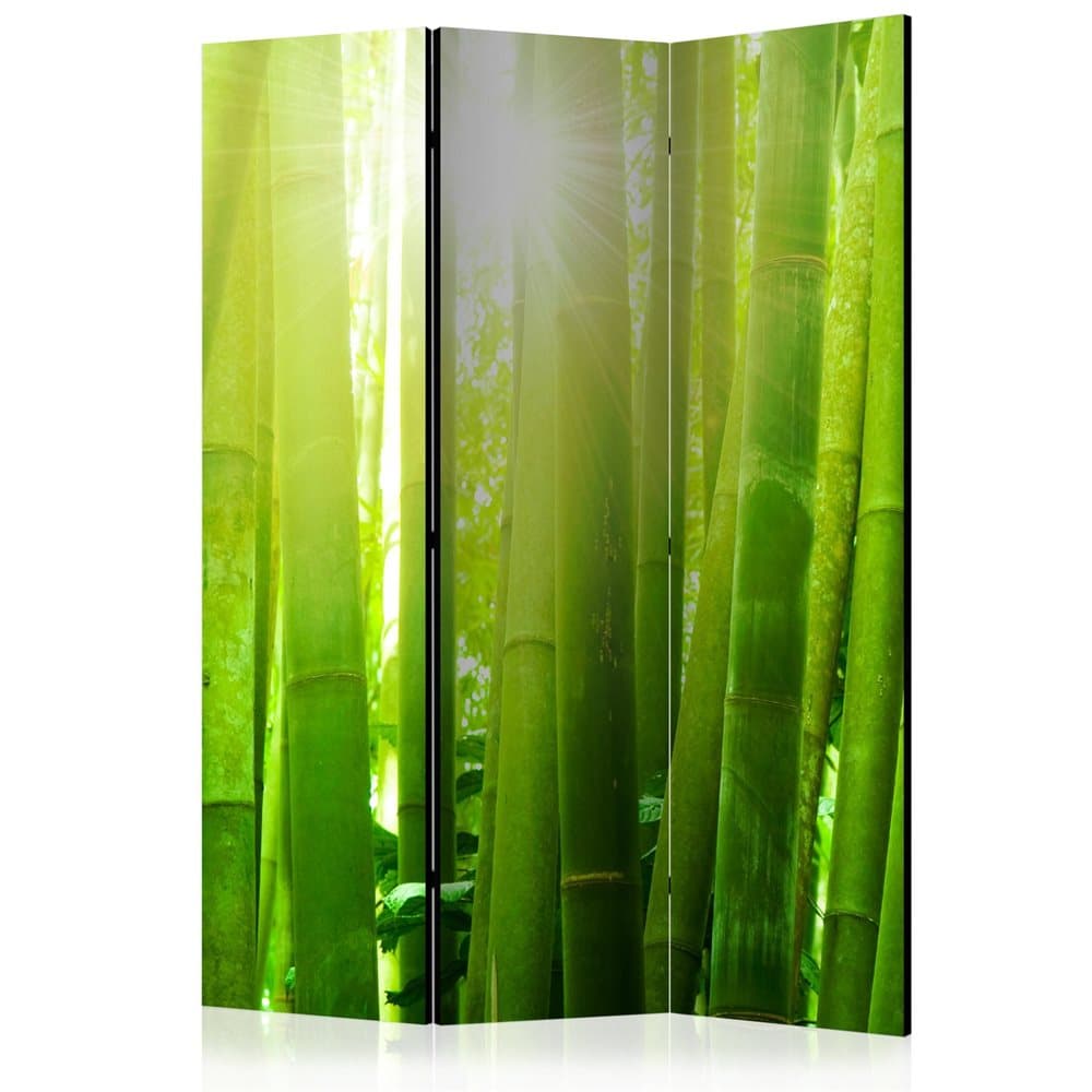 Rumsavdelare / Skärmvägg - Sun and bamboo