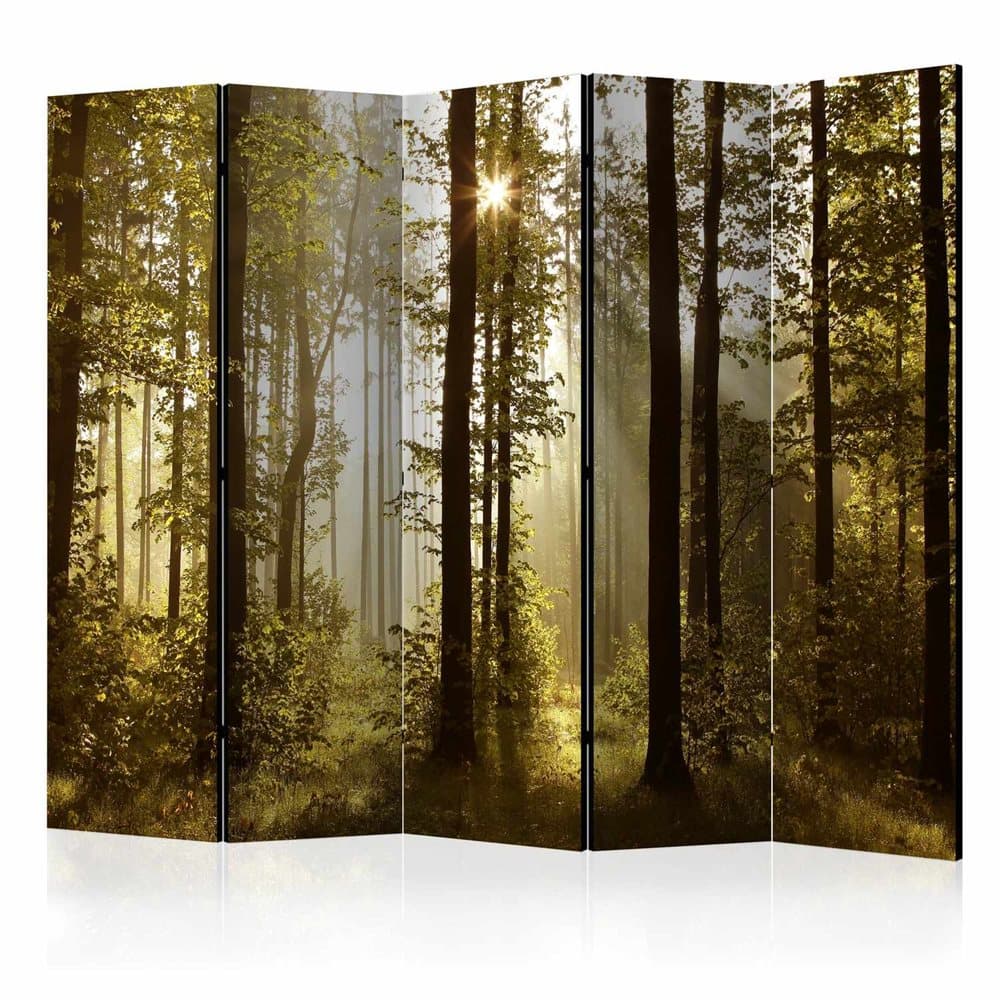 Rumsavdelare / Skärmvägg - Forest: Morning Sunlight II