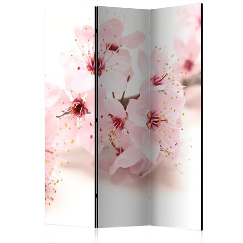Bild av Rumsavdelare / Skärmvägg - Cherry Blossom
