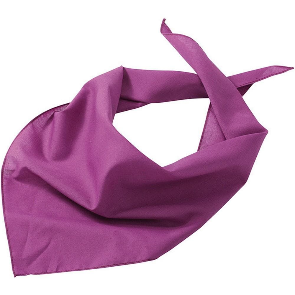 Myrtle Beach Adults Unisex Triangular Scarf