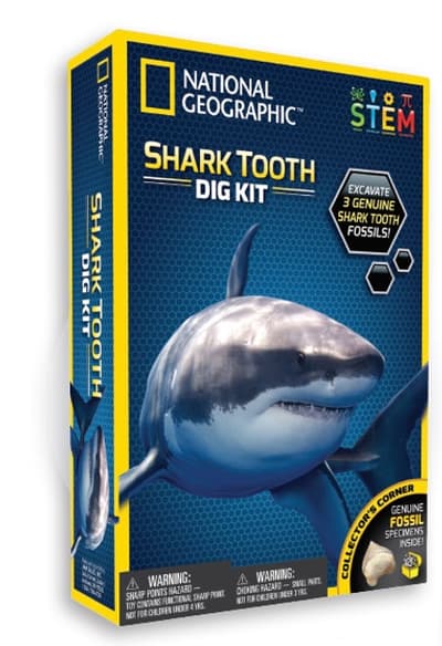 National Geographic Experiment Shark Tooth Dig Kit