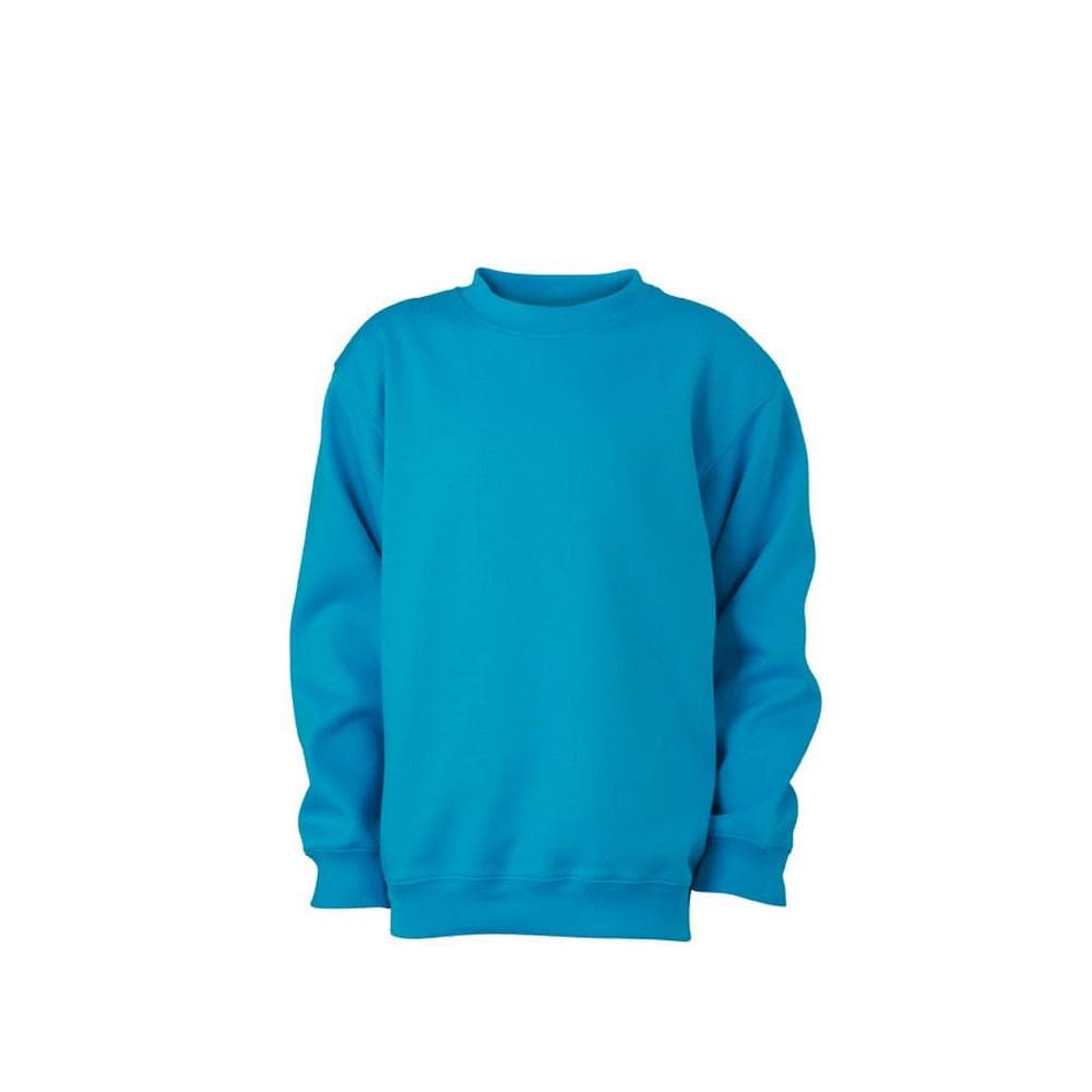 James and Nicholson Childrens/Kids Round Heavy Sweatshirt