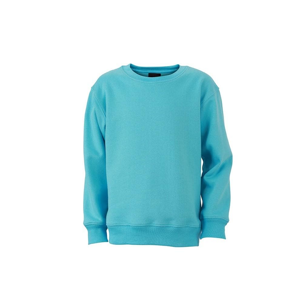 James and Nicholson Childrens/Kids Round Heavy Sweatshirt