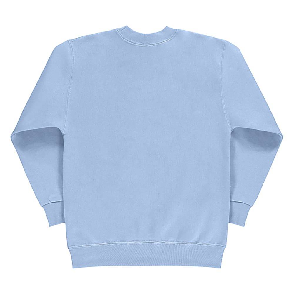 SG Kids/Childrens Crew Neck Sweatshirt Top (Pack of 2)