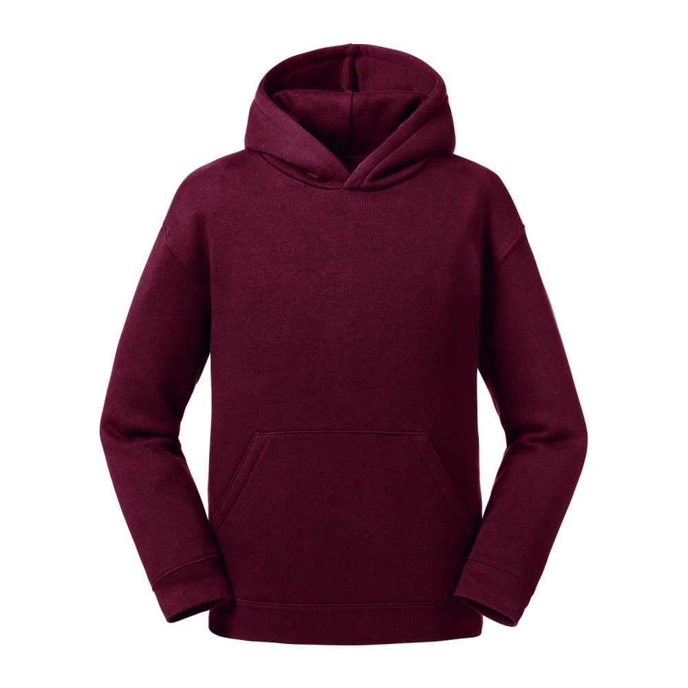 Russell Childrens/Kids Authentic Hooded Sweatshirt