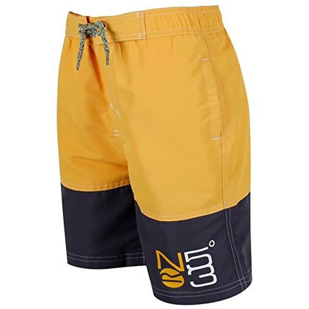 Regatta Great Outdoors Childrens Boys Shaul Swimming Shorts