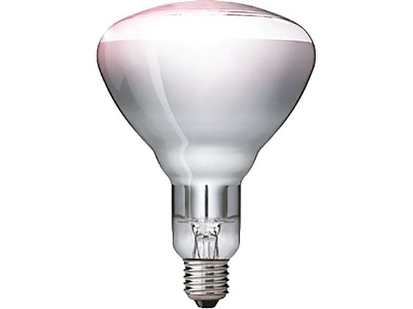 Philips 57523425, Vit, Glas, 230 - 250, 125 mm, 125 mm, 173 mm