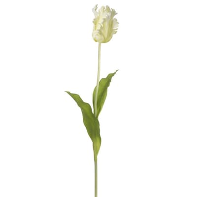 White Tulip Decoration
