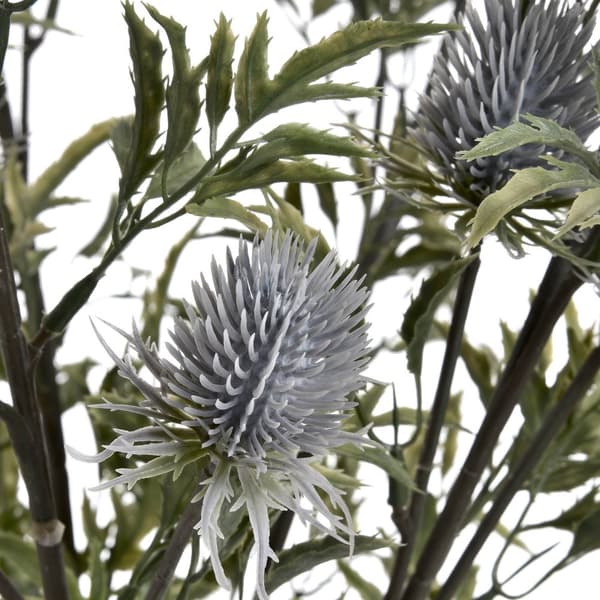 Hill Interiors Kunstig Eryngium Thistle