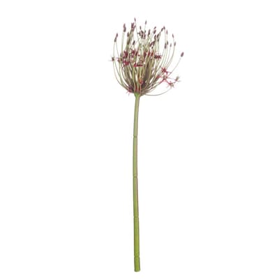 Hill Interiors Artificiell Allium Enkel Stam