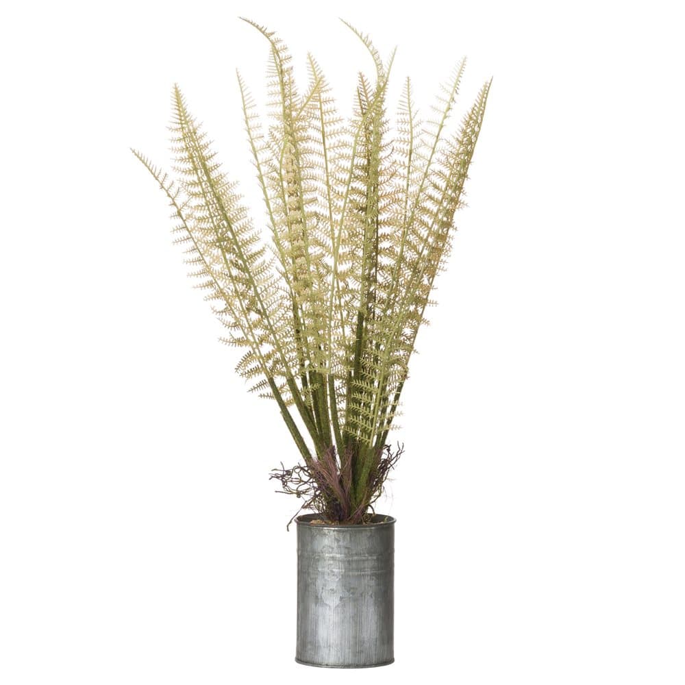 Hill Interiors Artificial Tin Can Fern
