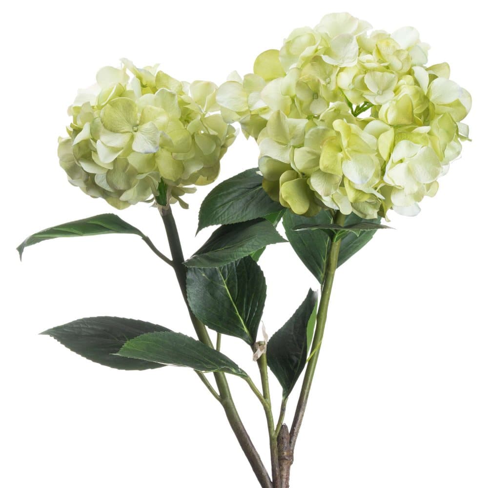 Hill Interiors Hydrangea Spray
