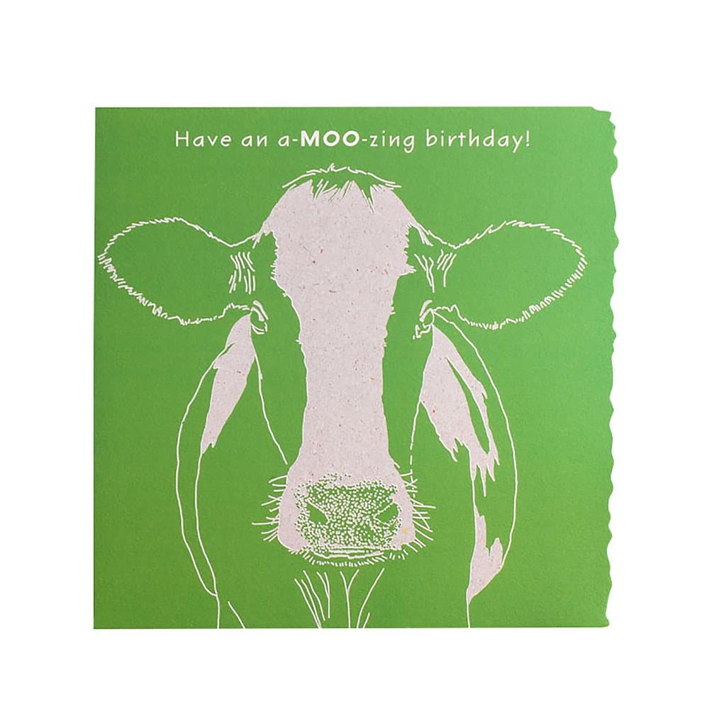 Deckled Edge Colour Block Animal Greetings Card