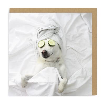 Ohh Deer Pampered Pooch Square Greeting Card