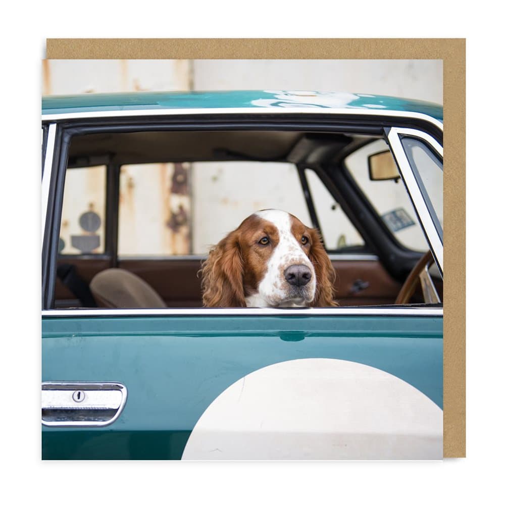 Ohh Deer Dog In Car Square Greeting Card