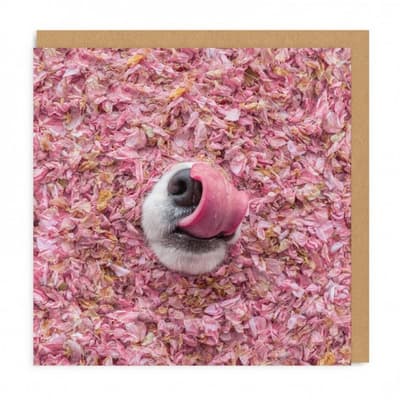 Ohh Deer Corgi Snoot Square Greeting Card