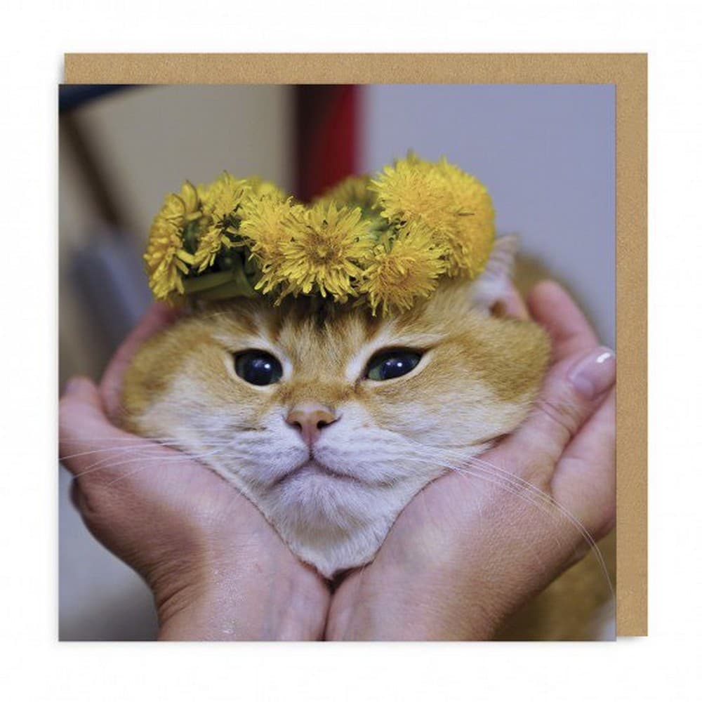 Ohh Deer Cat Face Greeting Card