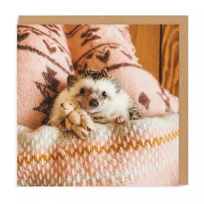 Ohh Deer Hedgehog In Bed Greeting Card