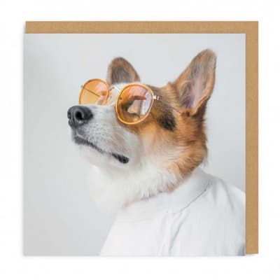 Ohh Deer Solglasögon Corgi gratulationskort