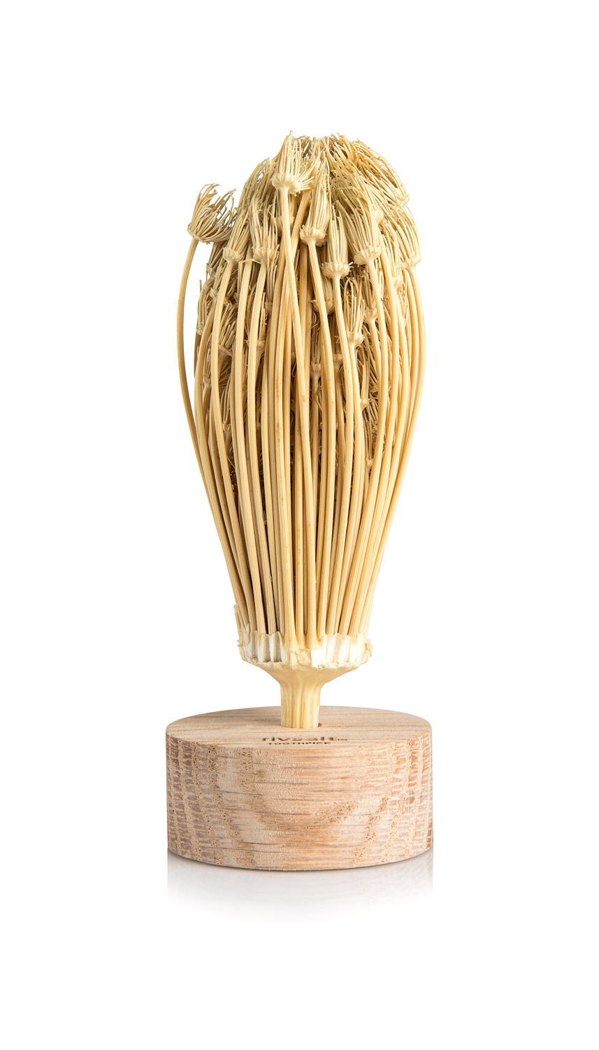 RIVSALT ™ TOOTHPICK TOOTHPICK