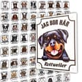 Miniatyrbild 2 av 2: Plåtskylt Dalmatiner Kikande hund skylt