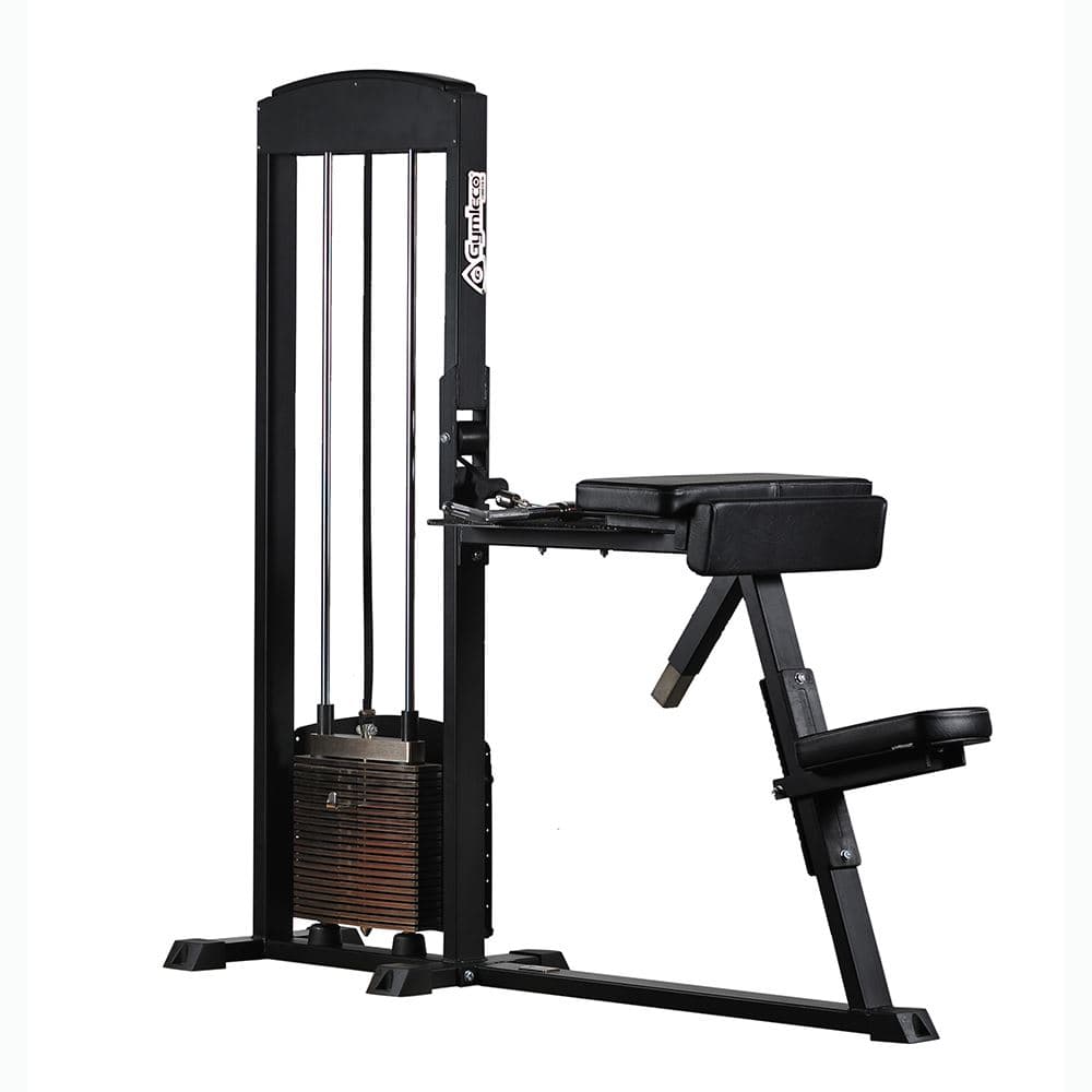Biceps/Triceps extension