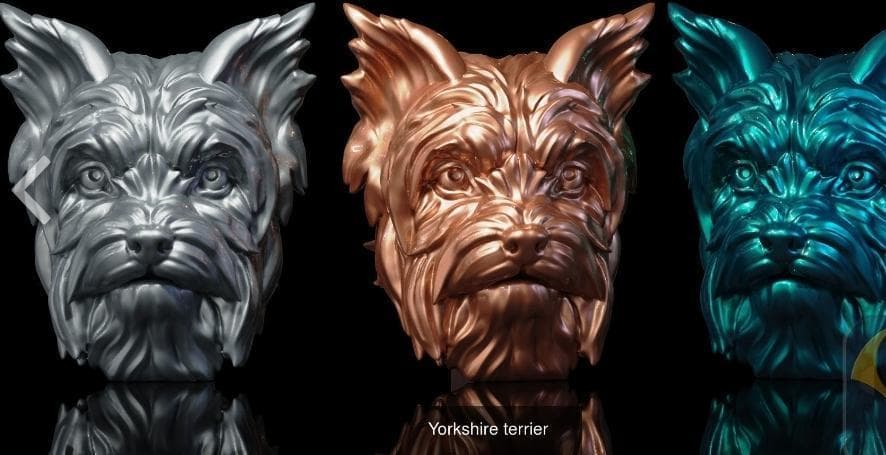 Størrelse: S, vidunderlig yorkshire terrier, dyr, hund