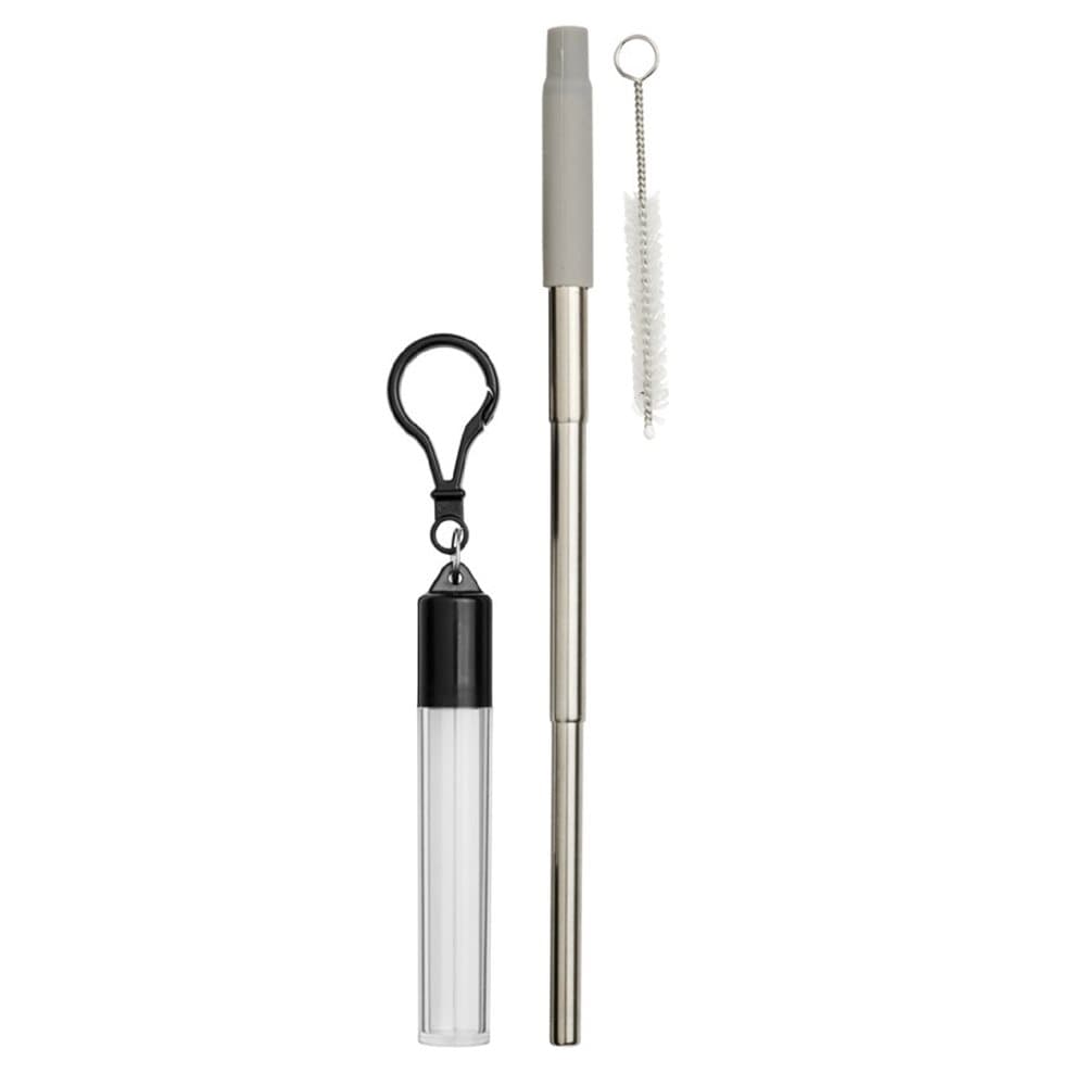 Bullet Zeya Reusable Stainless Steel Straw Key Chain