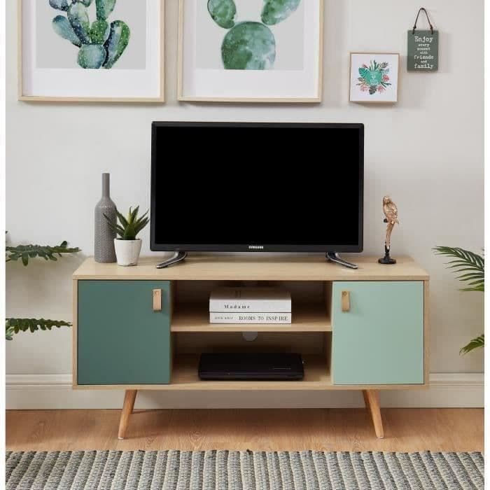 ELISE TV-stativ 2 døre - Vintage stil - Lys eg og pastellgrøn - B 116 x D 39,5 x H 53,5 cm