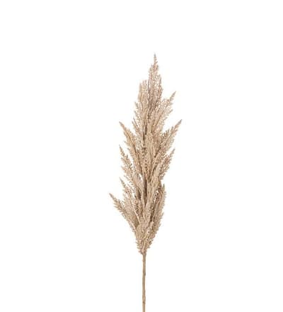 Pampasgräs 116cm Beige, Konstgjorda Blommor - Mr. Plant