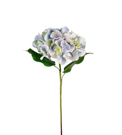 Hortensia Blå 55cm, Real Touch, Konstgjorda Blommor - Mr. Plant