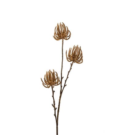 Succulent 75cm Beige, Konstgjorda Blommor - Mr. Plant