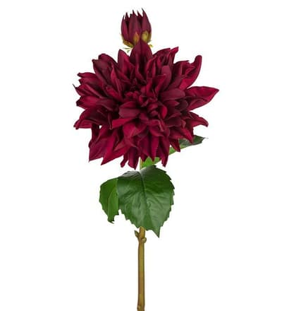 Dahlia 70cm, Konstgjorda Blommor - Mr. Plant