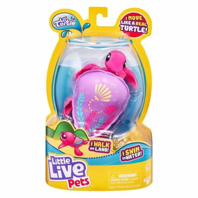 Little Live Turtle Sandy 26206