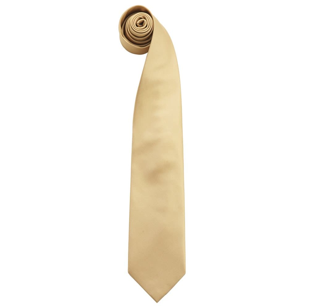 Premier Mens Fashion ”Colours” Work Clip On Tie (Pack of 2)