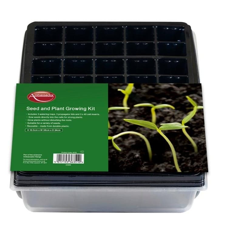 Ambassador Seed and Plant Growing Kit