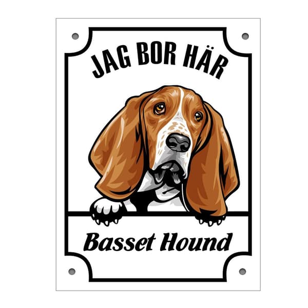 Plåtskylt Jag bo här Basset hound Kikande hund skylt