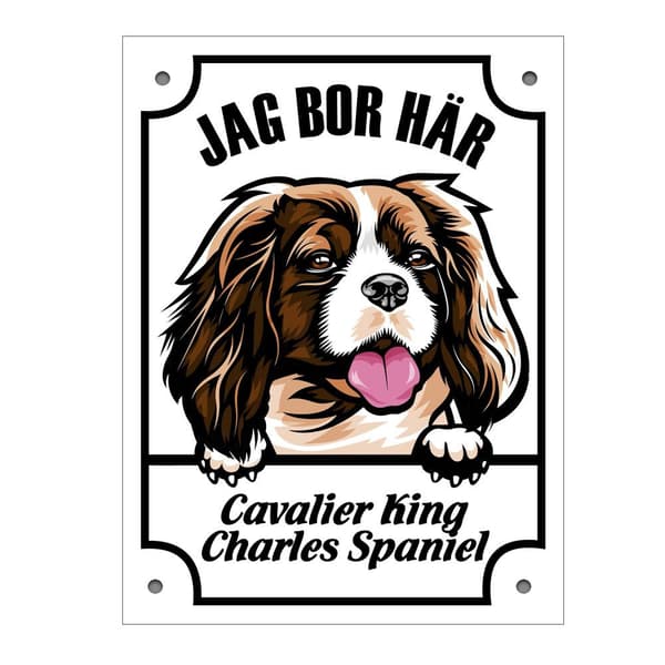 Plåtskylt Cavalier king charles spaniel Kikande hund skylt