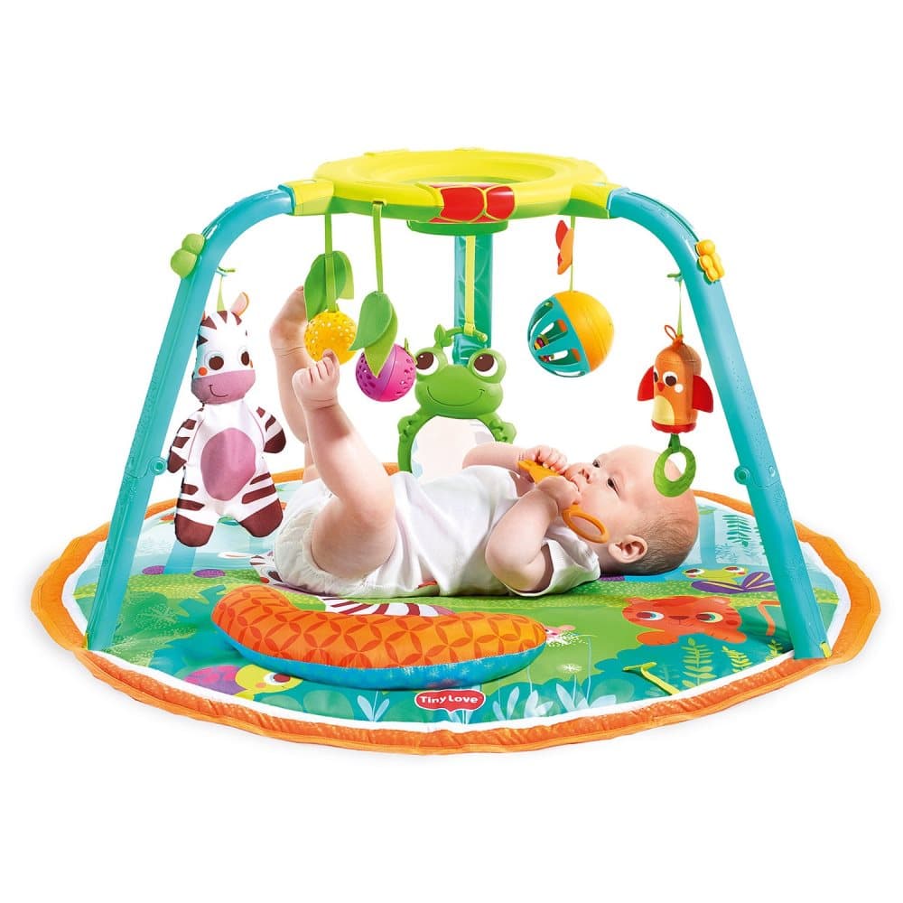 Tiny Love, Gymini 123 Here I Grow Baby Gym