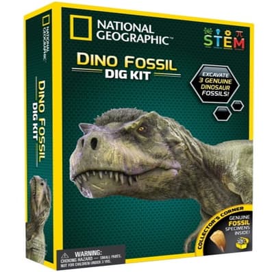 National Geographic Experiment Dino Fossil Dig Kit