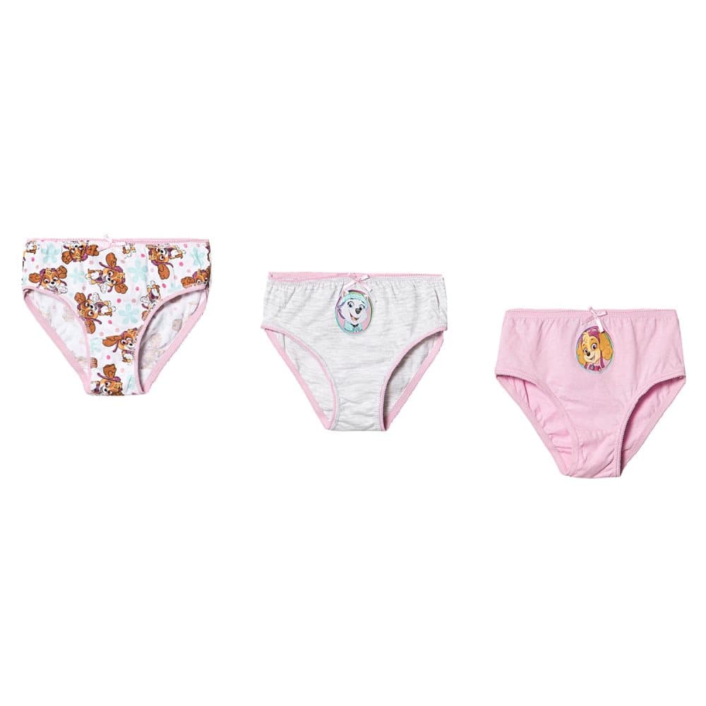 Paw Patrol Girls 3-Pack Briefs Light Grey Melange/White/Lilac Sachet