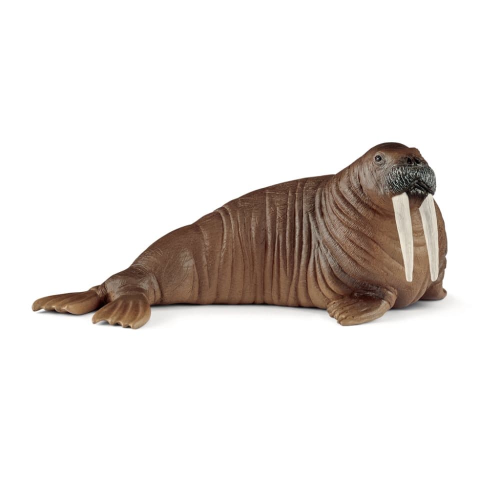 Schleich Valross 14803