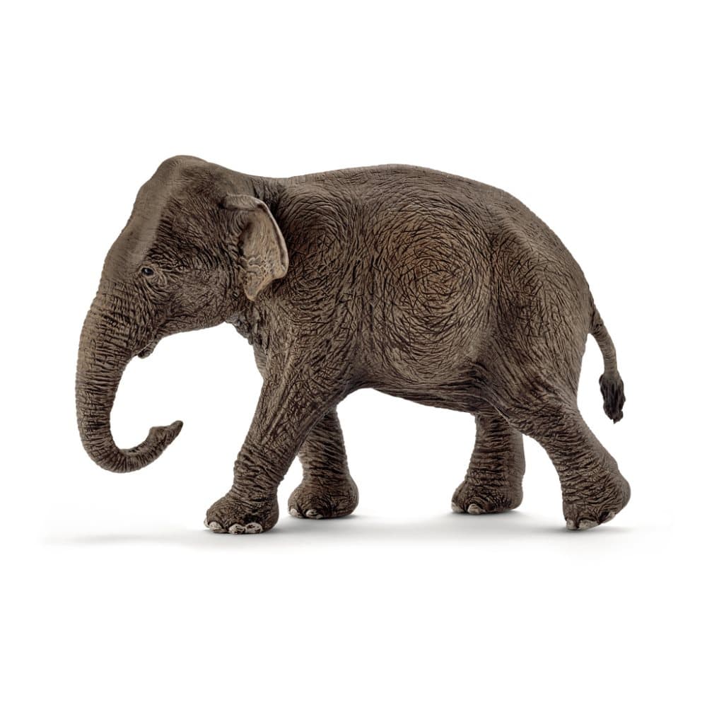 Schleich Asiatisk elefanthona 14753