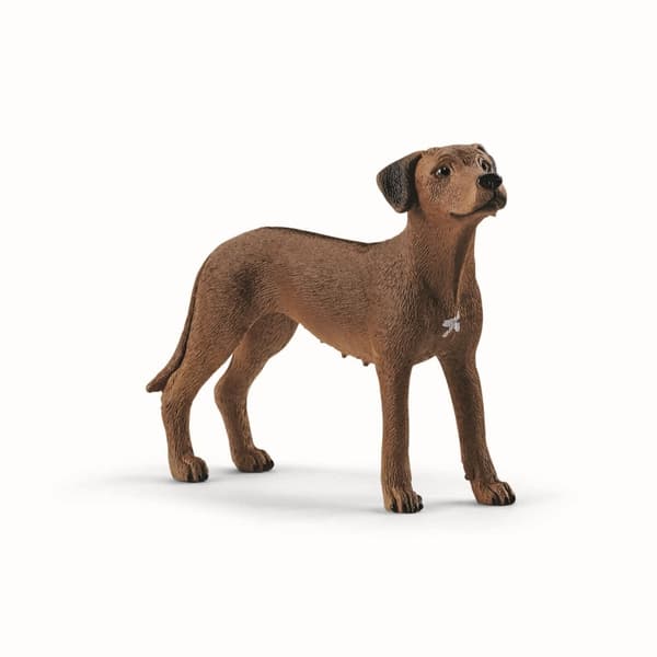 schleich® FARM WORLD Rhodesian Ridgeback 13895