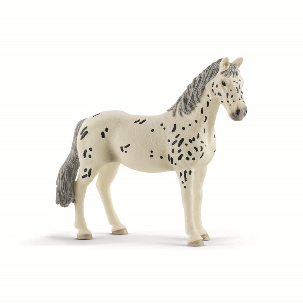 schleich® HORSE CLUB Knabstrupper sto 13910